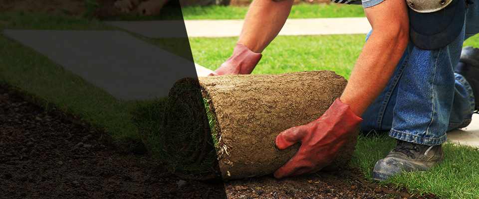 Calera Landscapers